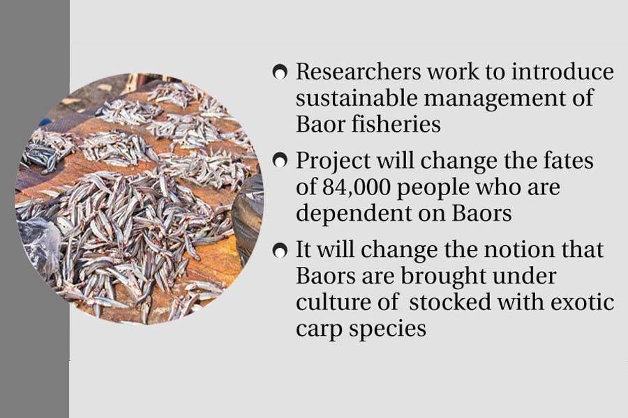 Researchers working on bringing back indigenous fishes