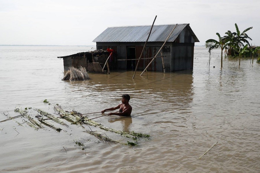 A flood-affected man moves jute plants to process in Jamalpur, Bangladesh, July 18, 2020 — Reuters/Files