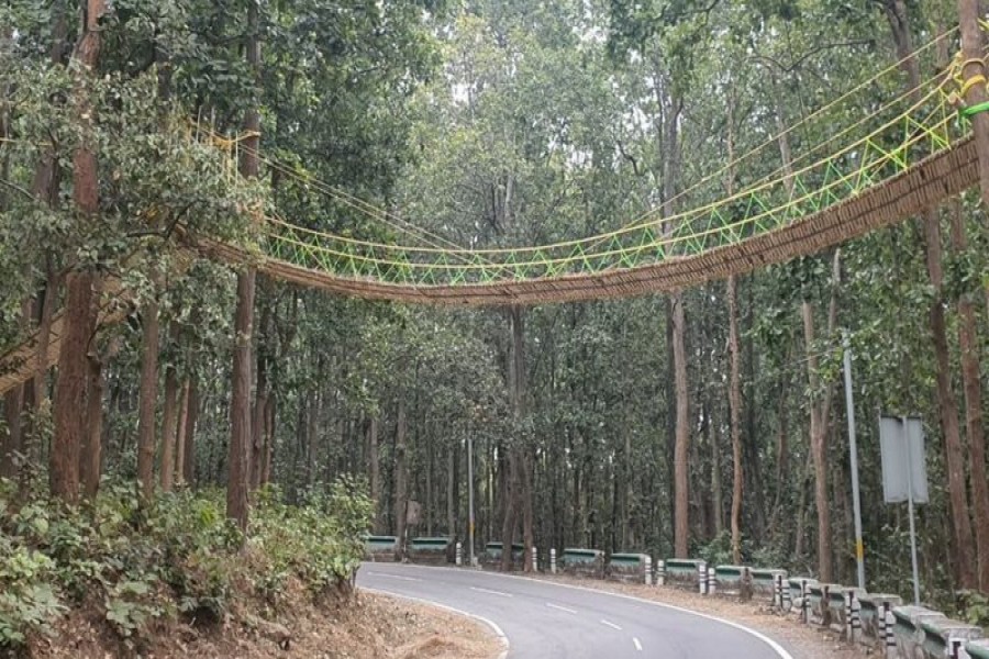 The bridge is made out of bamboo, jute and grass - Photo courtesy: BBC