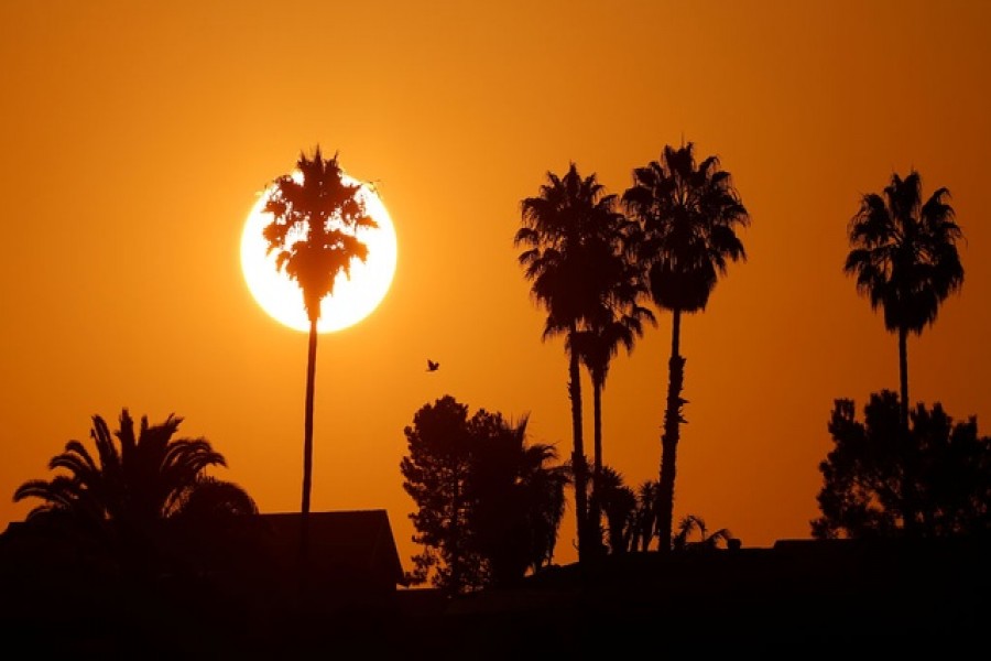 The morning sun rises over a neighbourhood as a heatwave continues during the outbreak of the coronavirus disease (COVID-19) in Encinitas, California, US, August 19, 2020. Reuters