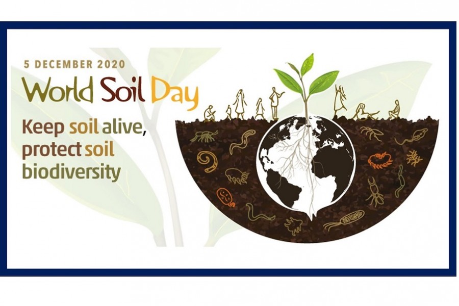 Emphasis on soil biodiversity for future food security 