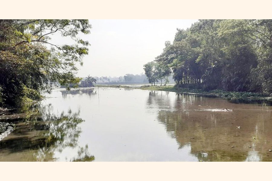 Waterlogged agricultural land in Manpal village of Cumilla's Laksam upazila — FE Photo