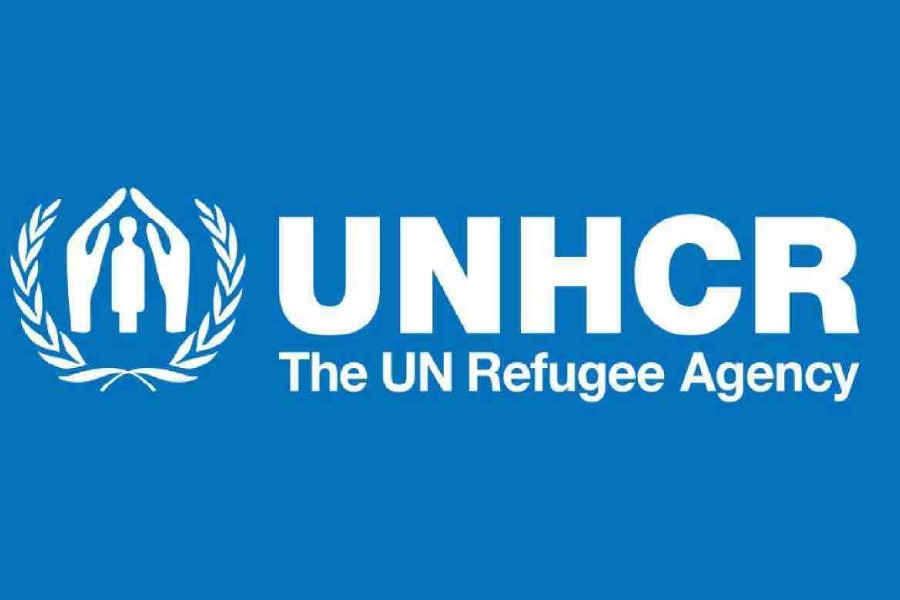 UNHCR supporting Cox’s Bazar locals with livelihood initiatives