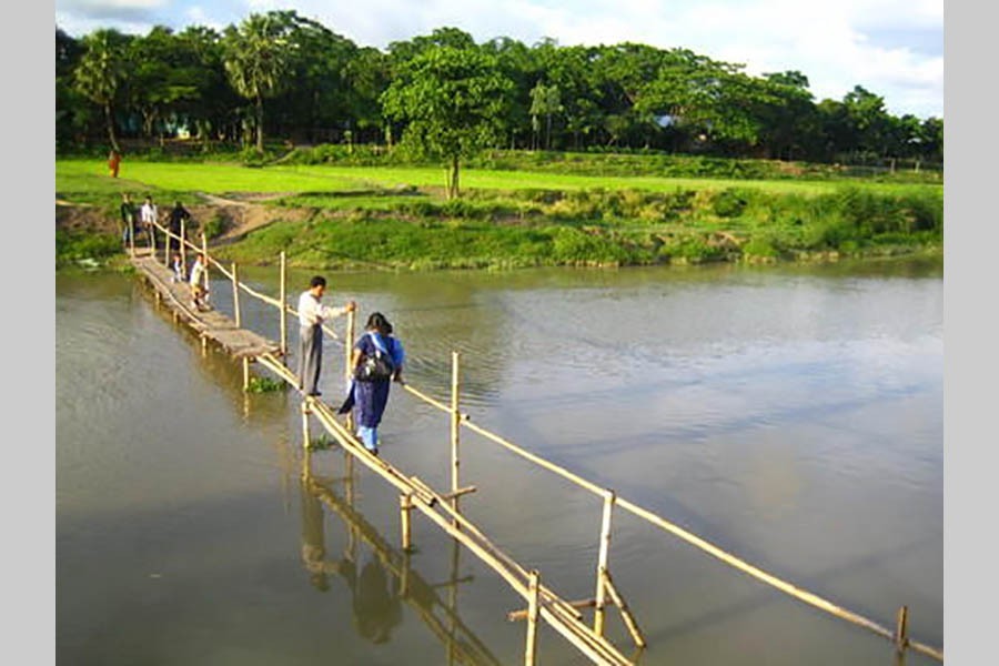 Ubiquitous 'shakos' of Bangladesh