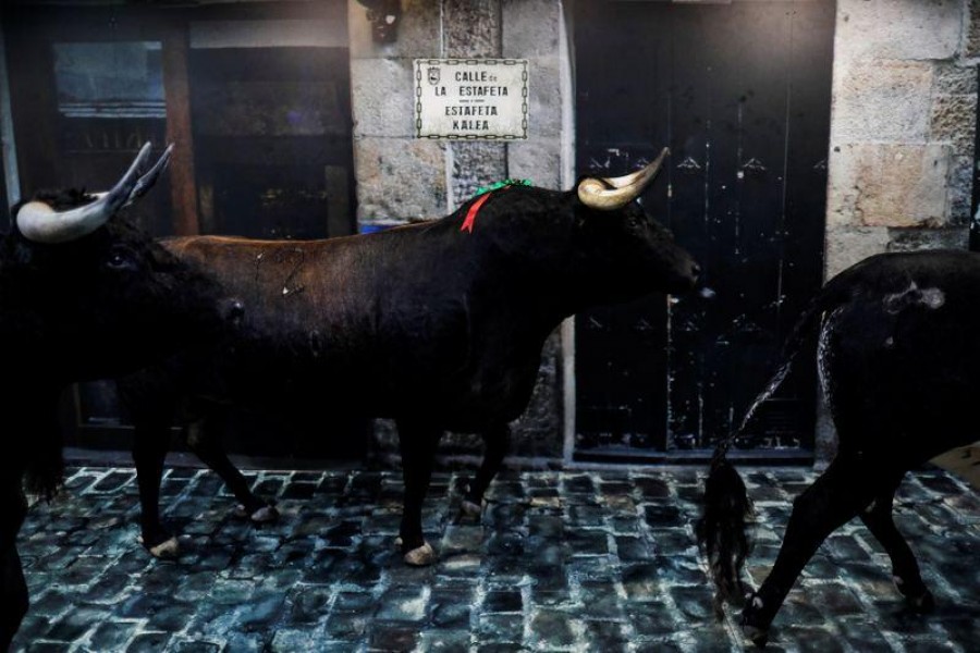 Taxidermy bulls of San Fermin bullfights are seen at "El panuelico de Hemingway" souvenir shop, along the 875-meter course of the running of the bulls from a corral to the bullring, at Estafeta street during the San Fermin festival which was cancelled due to the coronavirus disease (COVID-19) outbreak, in Pamplona, Spain July 7, 2020. Picture taken July 7, 2020. REUTERS/Jon Nazca