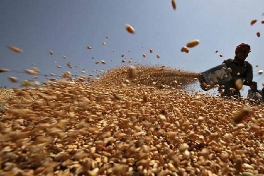 Govt to cut bidding time for foodgrain import