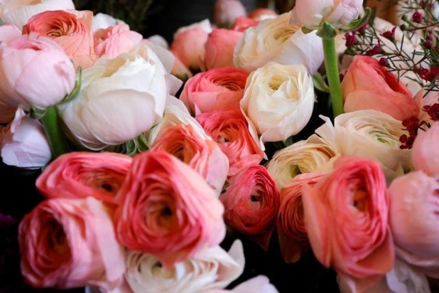 Roses are displayed in a flower shop ahead of Valentine's Day in Paris, France, February 12, 2021. REUTERS/Sarah Meyssonnier