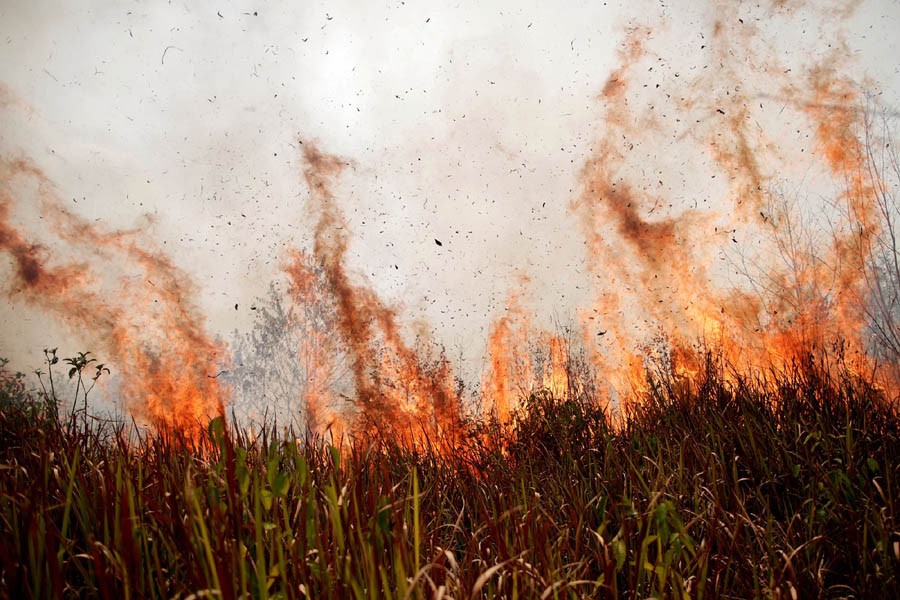  A tract of the Amazon jungle burns as it is cleared by loggers and farmers in Porto Velho, Brazil, August 24, 2019 — Reuters/Files