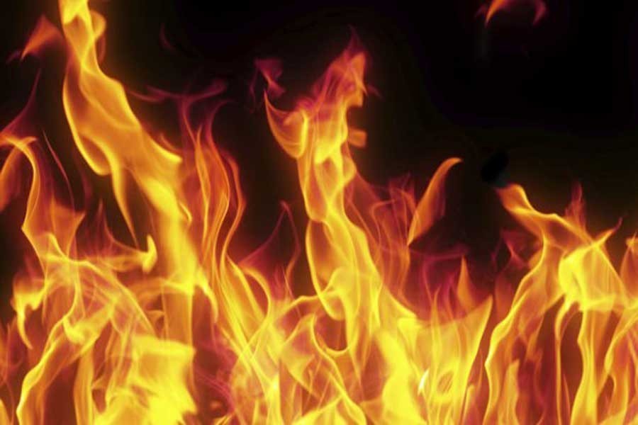 Fire at Kathalbagan cattle farm