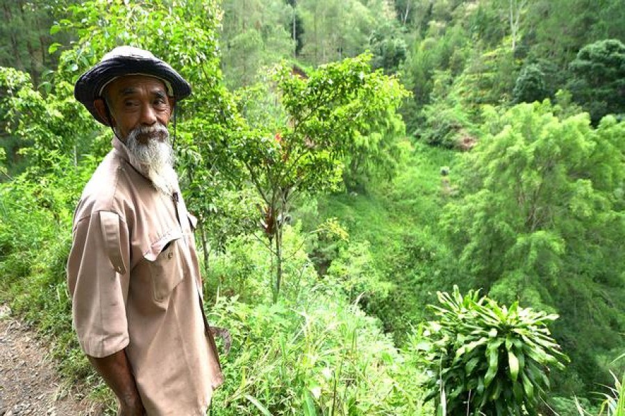 Sadiman, a 69-year-old ecowarrior, stands near a hill which is the first area he replanted with trees 20 years ago, in Wonogiri, Central Java province, Indonesia, in this still taken from March 13, 2021 video. Stringer/REUTERS TV via REUTERS