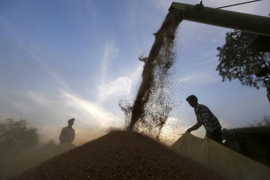 A harvester is used to deposit wheat crop on a tarpaulin in a field on the outskirts of the western Indian city of Ahmedabad on March 24, 2015 — Reuters/Files