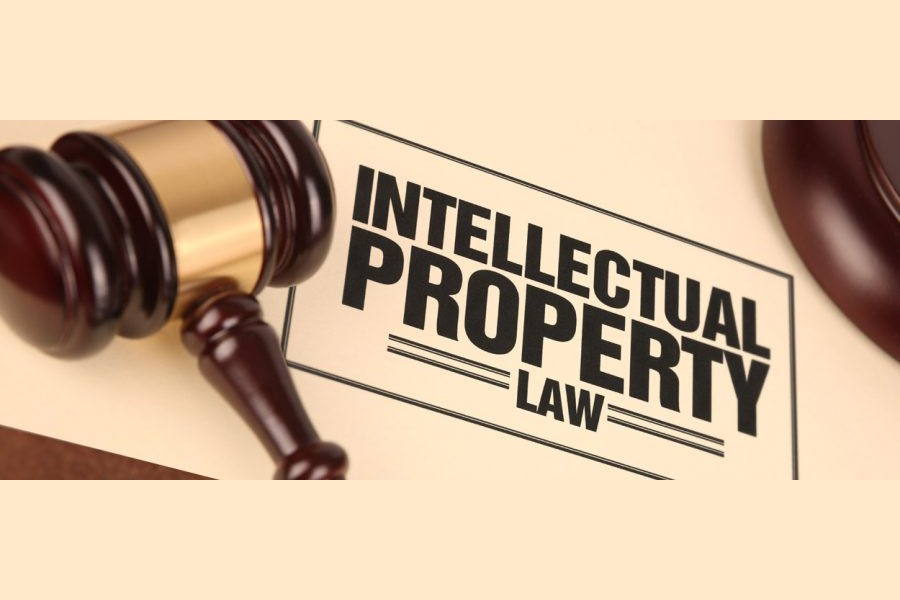 Stakeholders suggest strict laws on intellectual property rights