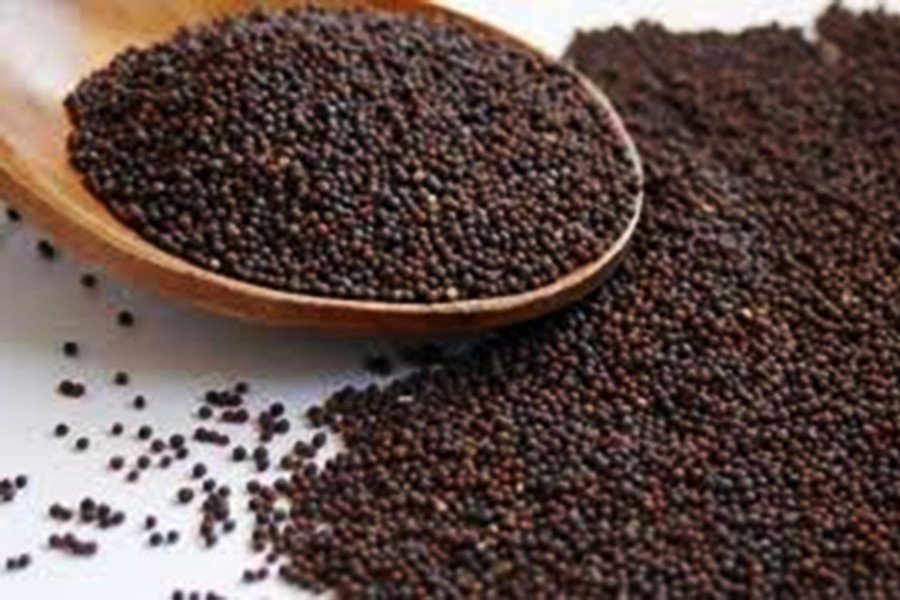 Bangladesh can produce additional  2.6m tonnes of mustard oil seeds a year