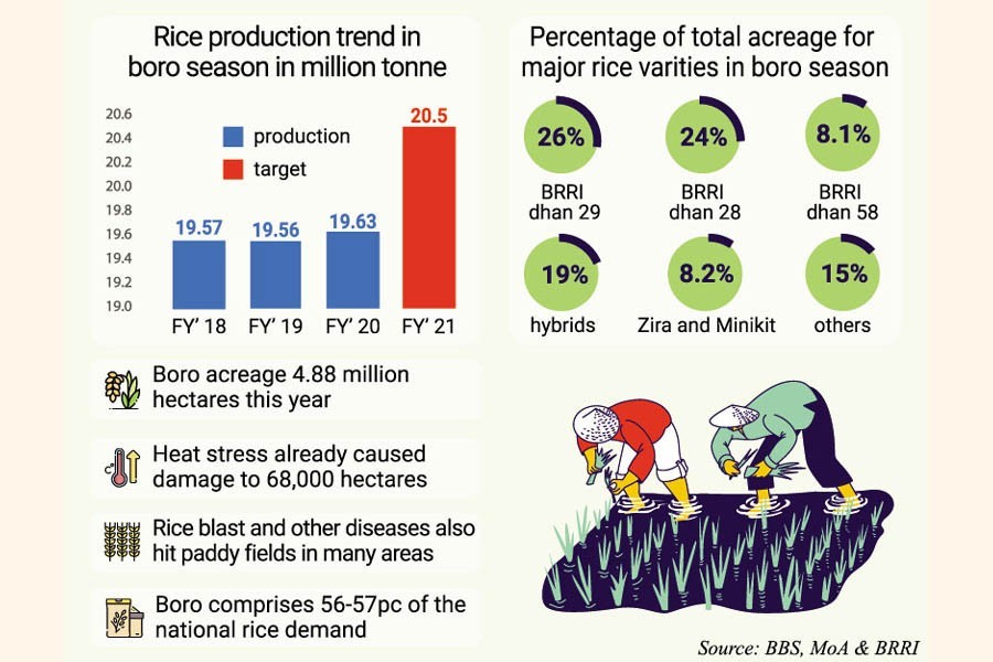 Static Boro rice production may pose food security risk for Bangladesh