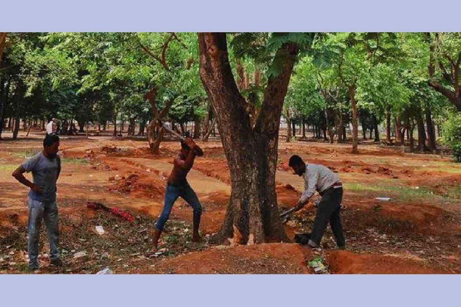 Saving Dhaka's age-old greenery