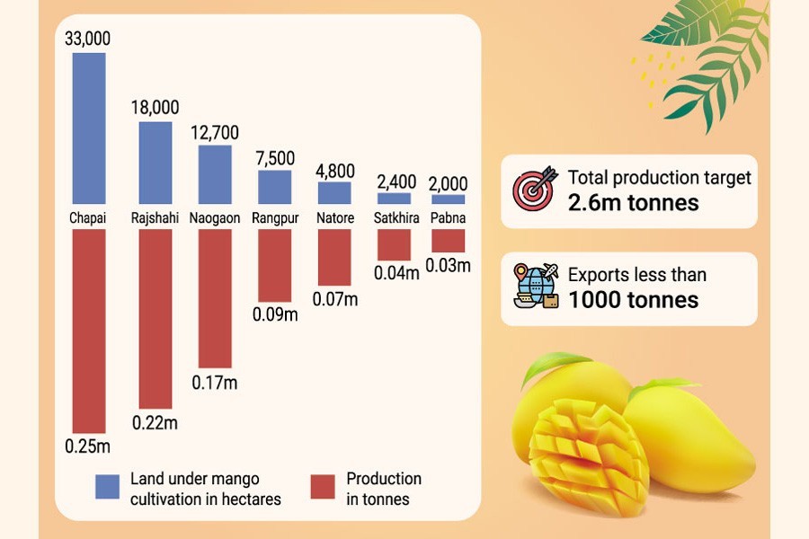 Lockdown casts shadow on mango business