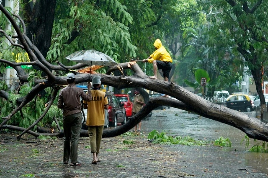 A man cuts branches of a fallen tree on a road after heavy winds caused by Cyclone Tauktae, in Mumbai, India, May 17, 2021 — Reuters/Files