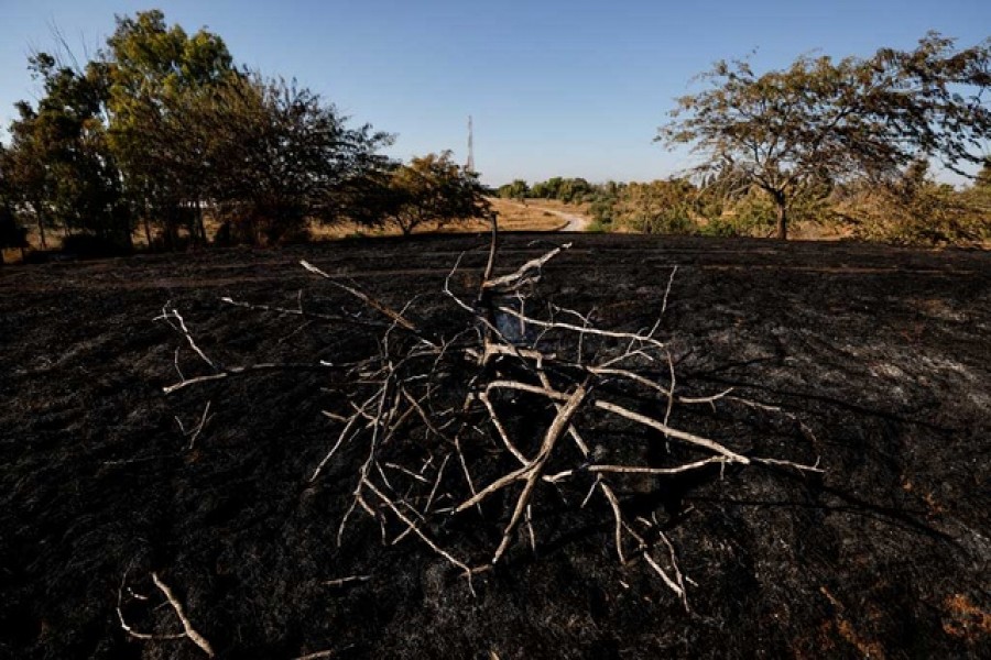 A burned field is seen after Palestinians in Gaza sent incendiary balloons over the border between Gaza and Israel, Near Nir Am June 15,2021. REUTERS/Amir Cohen