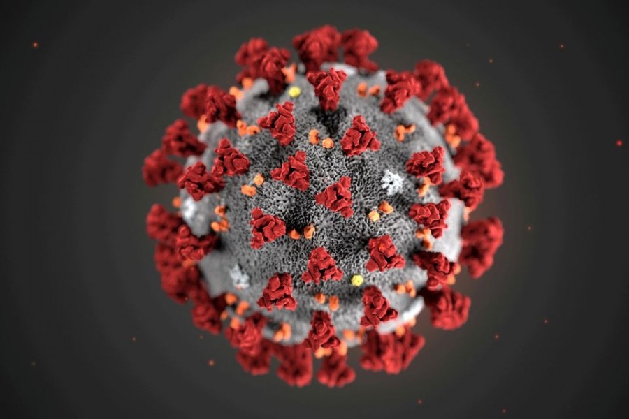 The ultrastructural morphology exhibited by the 2019 Novel Coronavirus (2019-nCoV), which was identified as the cause of an outbreak of respiratory illness first detected in Wuhan, China, is seen in an illustration released by the Centers for Disease Control and Prevention (CDC) in Atlanta, Georgia, US on January 29, 2020 — Via Reuters/Files