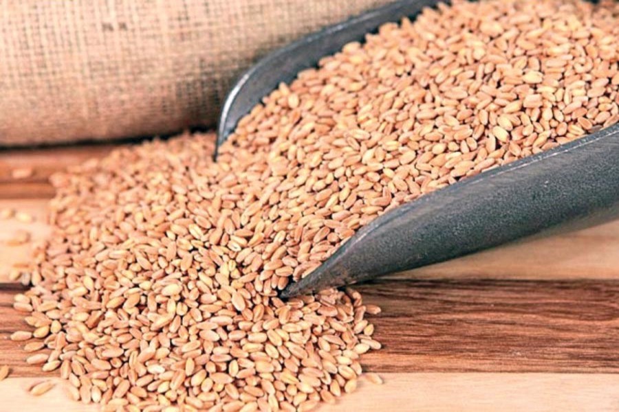 Farmers supply two-thirds of produced cereals to market: Survey