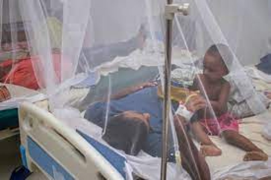 32 more dengue cases reported in 24 hrs