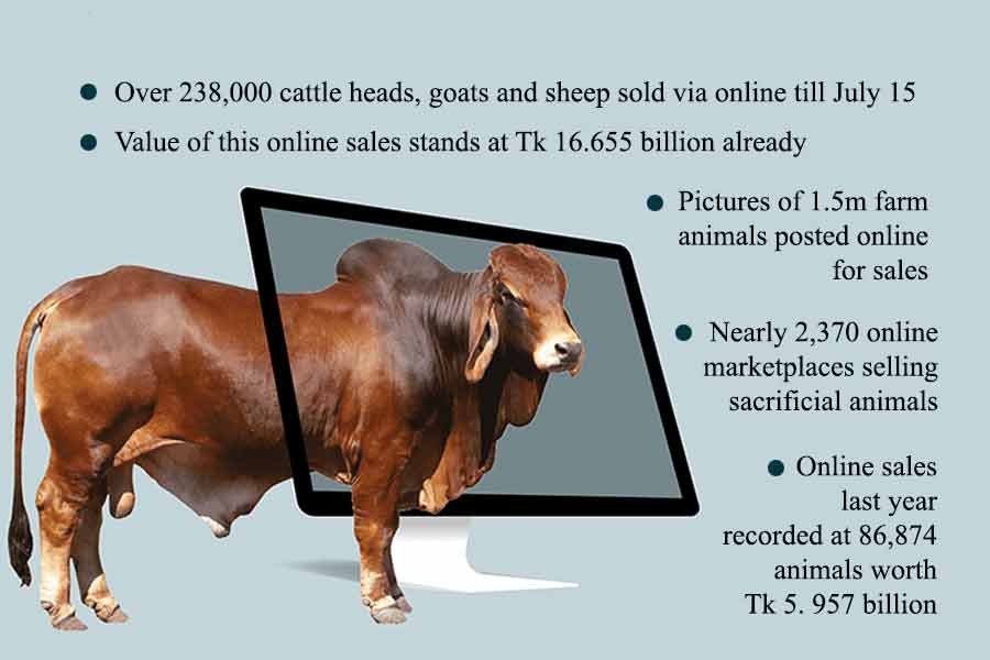 Online sales of sacrificial animals on Bangladeshi platforms surge