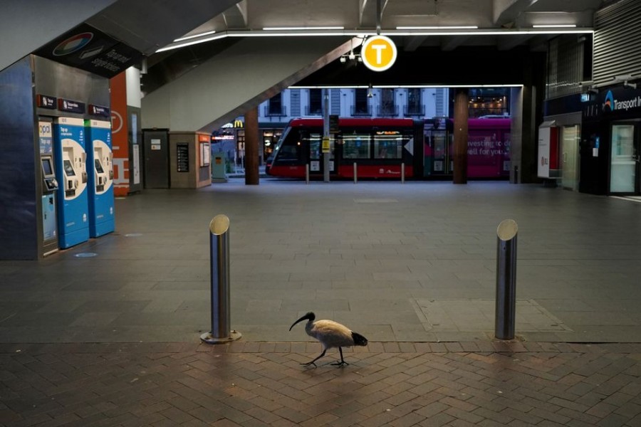 A lone bird walks past the quiet Circular Quay train station during a lockdown to curb the spread of a coronavirus disease (COVID-19) outbreak in Sydney, Australia on July 28, 2021 — Reuters/Files