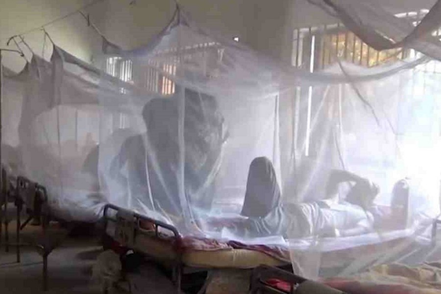 Dengue causes three more deaths, record 330 patients hospitalised