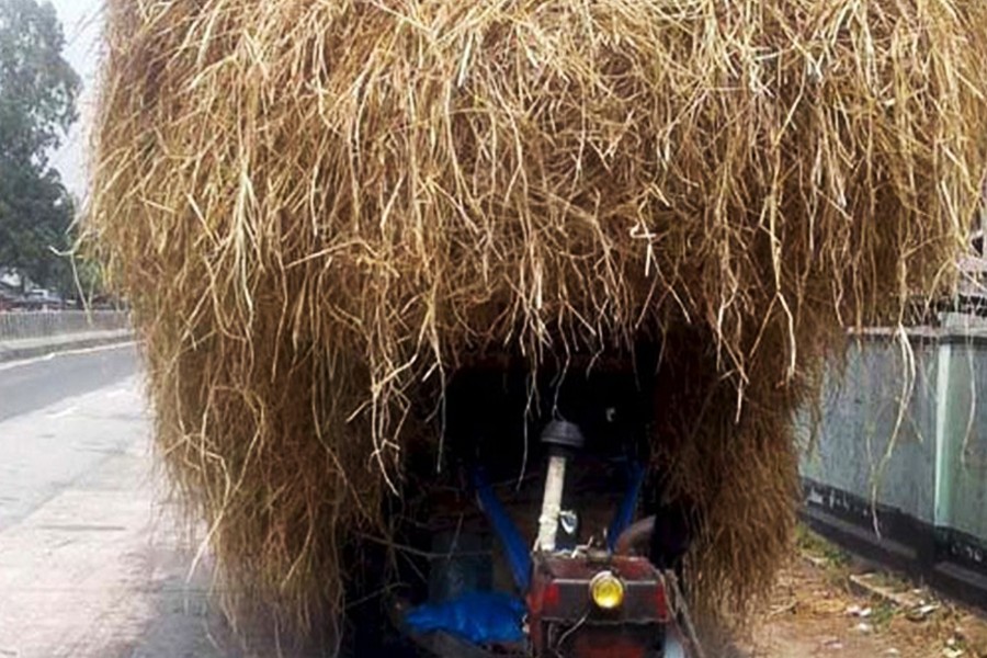 Hay being taken from remote villages to meet the fodder crisis in Bogura — FE Photo