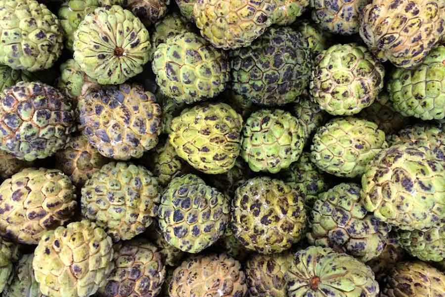 Sugar apples are displayed in a market in Recife, the capital of Brazil’s northeastern state of Pernambuco. -Reuters file photo