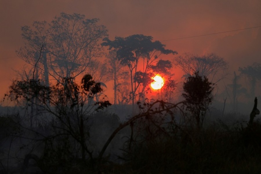 A view shows a deforested plot of Brazilian Amazon rainforest near the Transamazonica national highway, in Apui, Amazonas state, Brazil, September 6, 2021. Picture taken September 6, 2021. REUTERS