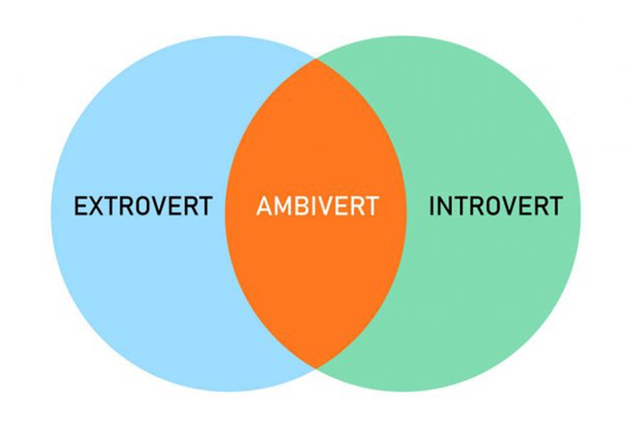 Ambiversion: Winning in life