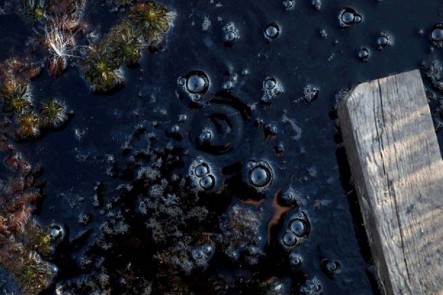 Methane bubbles are seen in an area of marshland at a research post at Stordalen Mire near Abisko, Sweden, August 1, 2019.REUTERS/Hannah McKay