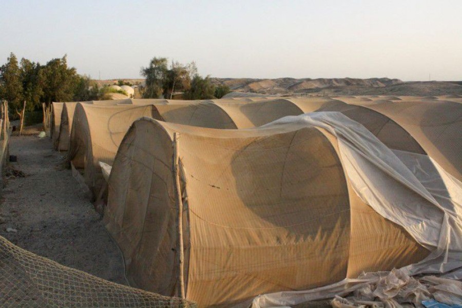 A view of a farm next to a desalinated water project at the resort area of Marsa Shagra near Marsa Alam on Egypt's southern Red Sea coastline, Egypt, October 18, 2021. Picture taken October 18, 2021. REUTERS/Aidan Lewis