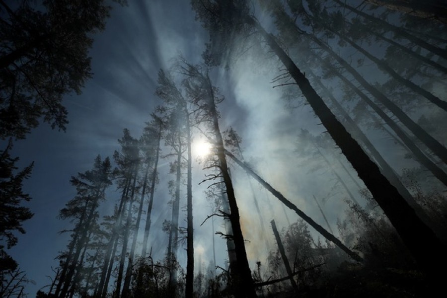 Smoke shrouded trees are seen, as a bushfire burns on the slopes of Table Mountain in Cape Town, South Africa, April 20, 2021 – Reuters/Mike Hutchings/File Photo