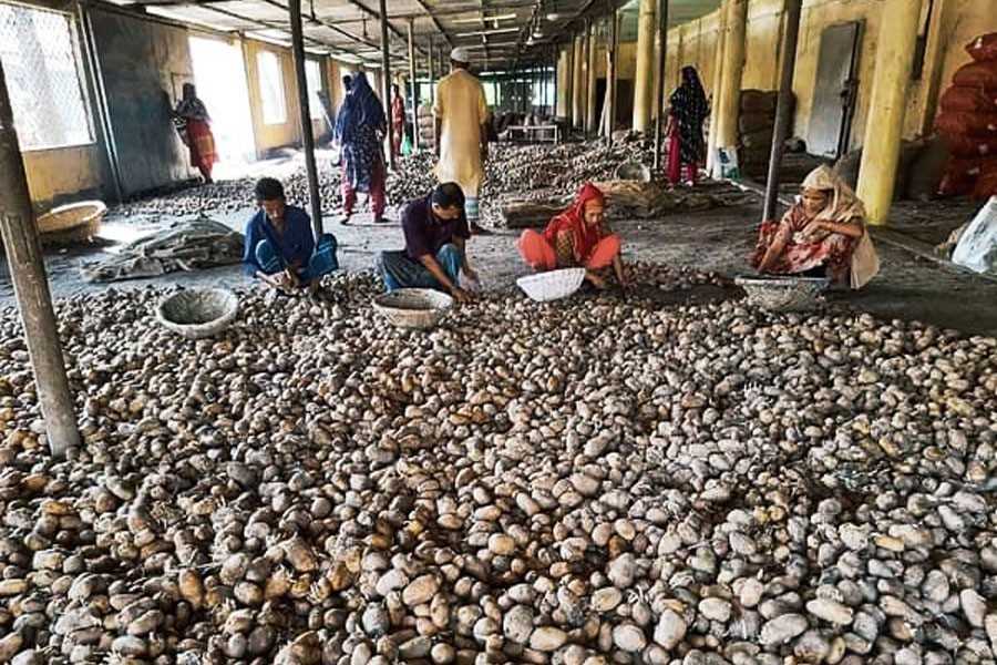 Workers busy arranging potatoes at a cold storage in Daudkandi upazila of Cumilla — FE Photo