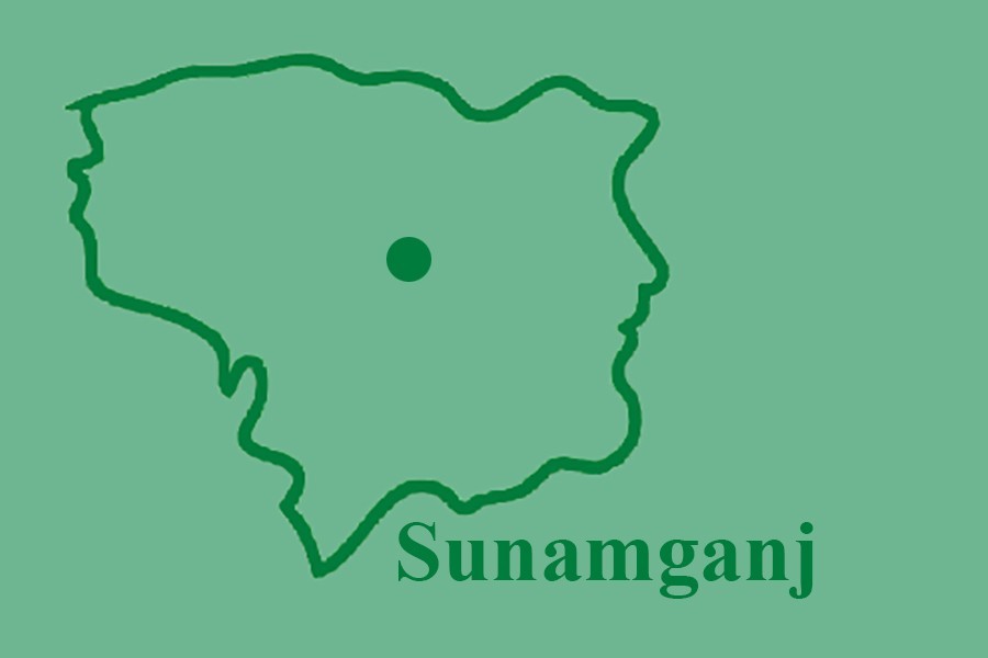 Truck-microbus crash in Sunamganj leaves three children dead