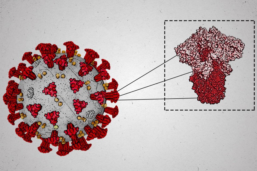 Bangladesh issues 15-point guideline to fight new Covid variant