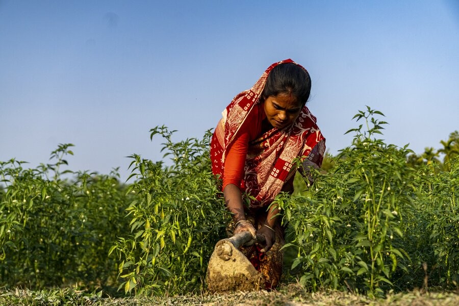 Photo courtesy: WFP/Asif Mahmud