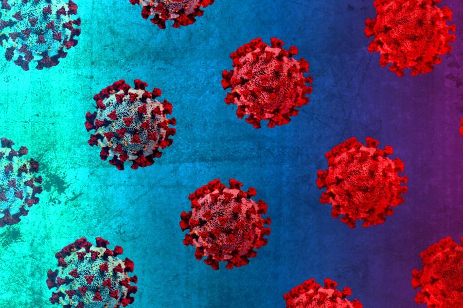 Omicron cases doubling in 1.5 to 3 days in areas with local spread : WHO