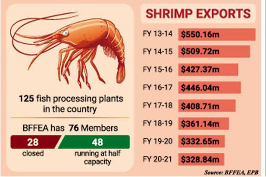 Shrimp farming, exports waning