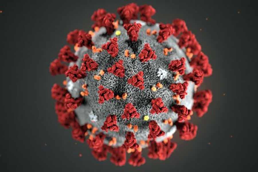 Bangladesh logs 674 new virus cases, the highest in 13 weeks