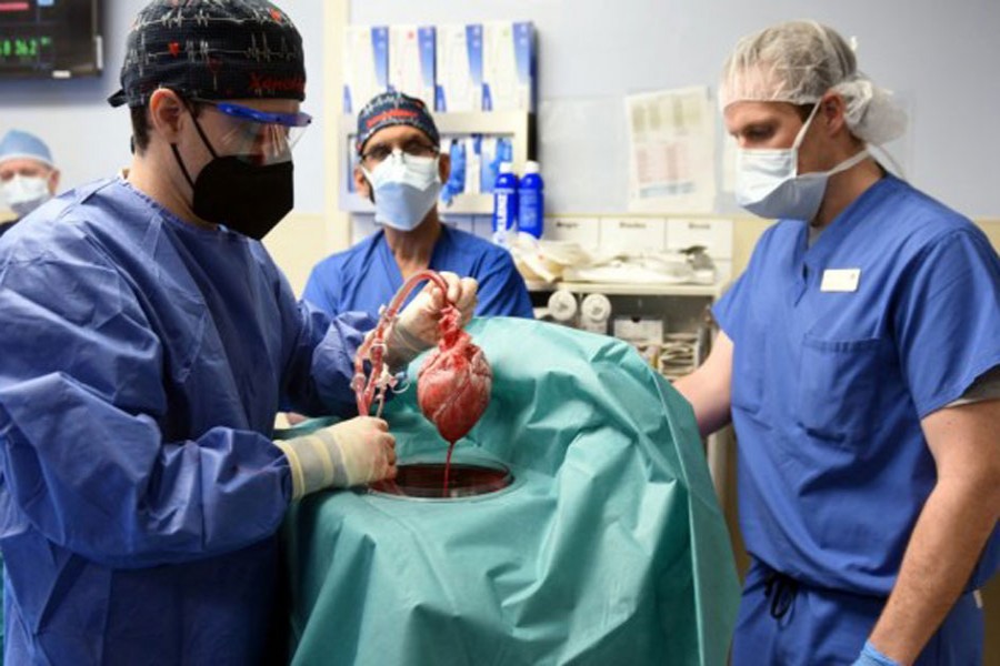 Surgeon Muhammad M. Mohiuddin, MD leads a team placing a genetically-modified pig heart into a storage device at the Xenotransplant lab before its transplant on David Bennett, a 57-year-old patient with terminal heart disease, at University of Maryland Medical Center in Baltimore, Maryland, US January 7, 2022. Picture taken January 7, 2022. University of Maryland School of Medicine (UMSOM)/Handout via REUTERS.