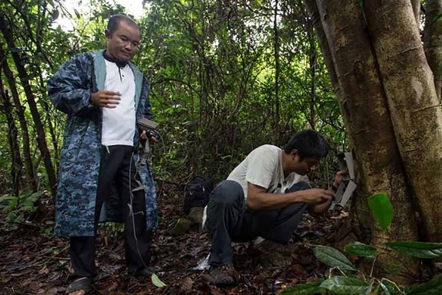 WWF officials setting up a camera trap at Dawna Tenasserim Landscape (DTL) near the Myanmar-Thai border on May 29 in 2017 –Reuters file photo