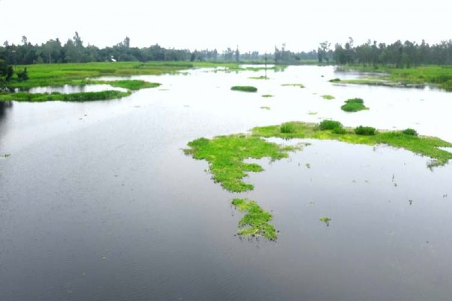 Bangladesh losing the deltaic character