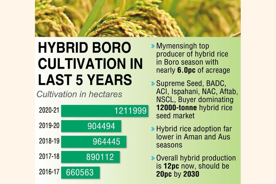 Study shows hybrid rice acreage doubles in five years