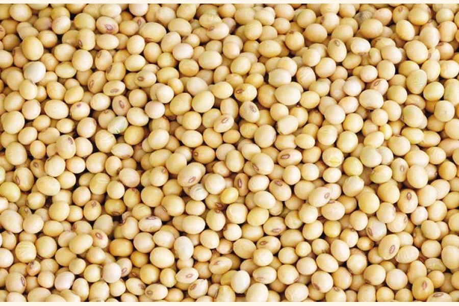 Dhaka to allow soya meal export