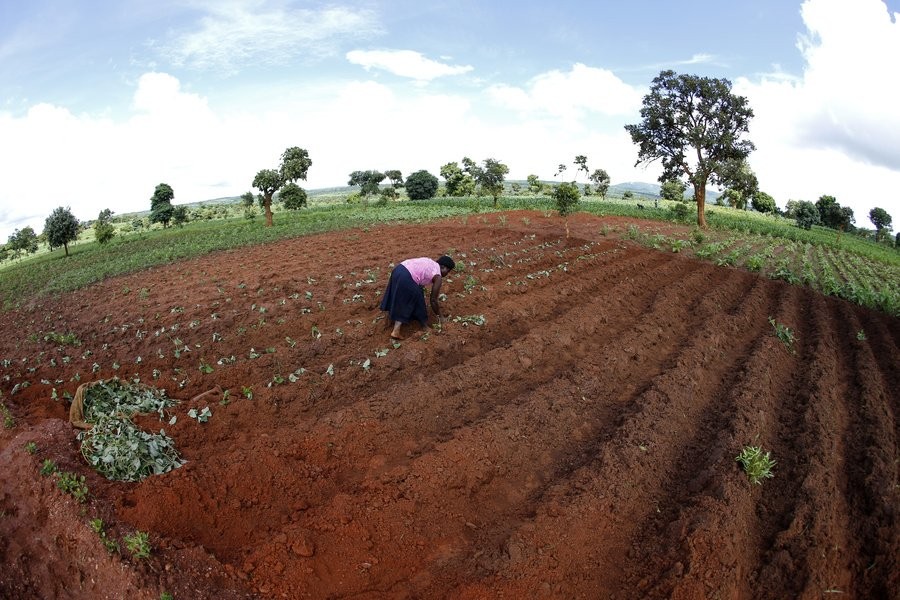 South Sudan likely to allow Bangladeshis to carry out contract farming