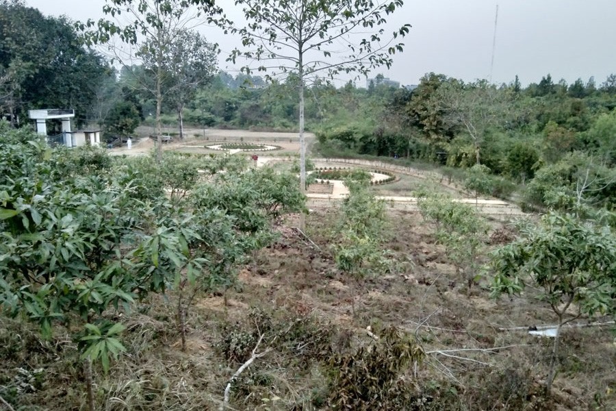 Photo shows trees and branches lie in disarray across the botanical garden in Ramu of Cox's Bazar district —FE Photo