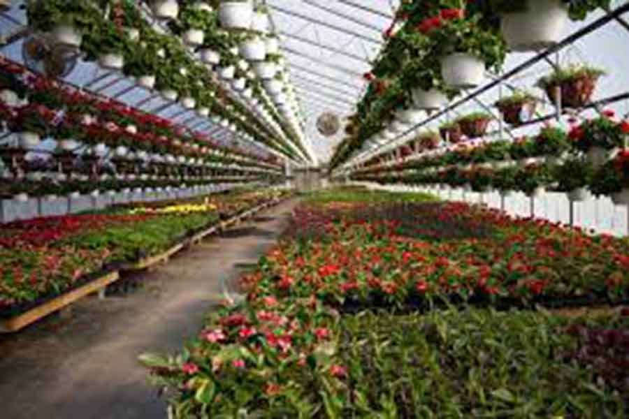 University of Chittagong establishes greenhouse to develop climate-tolerant crops